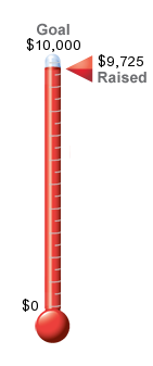 Fundraiser Thermometer